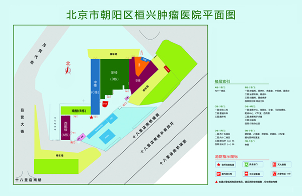 操逼大鸡吧网站北京市朝阳区桓兴肿瘤医院平面图